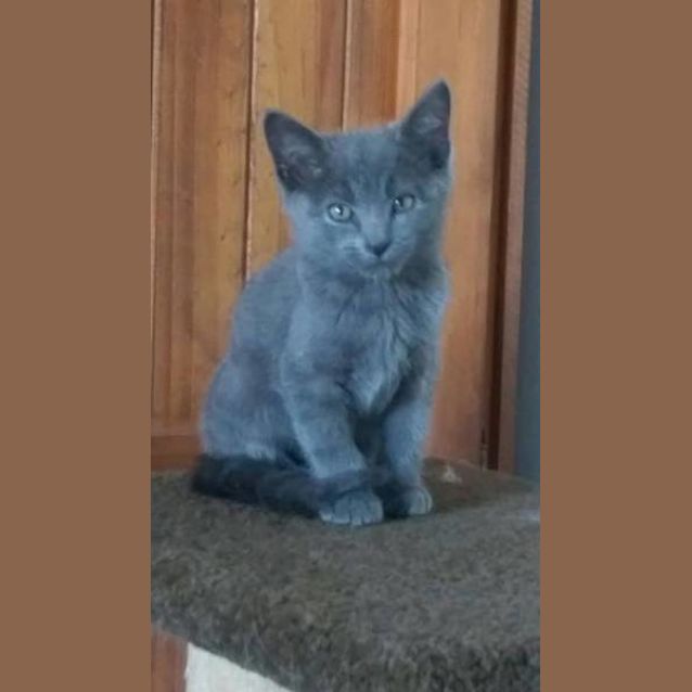 Photo of Sterling