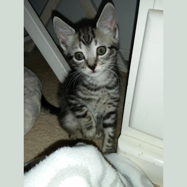 Photo of Seanne