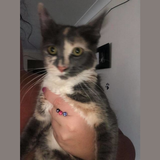 Photo of Missy
