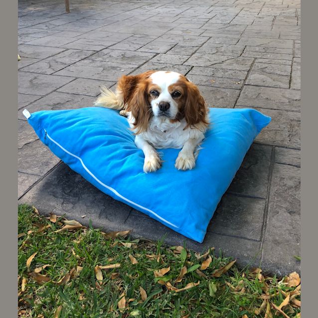 Photo of Molly