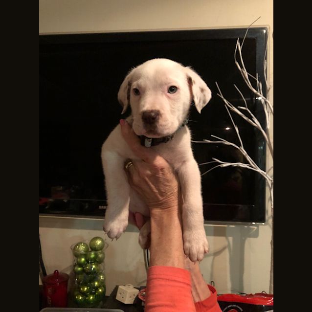 Photo of Zara