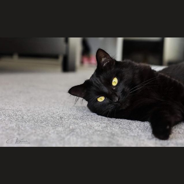 Photo of Mali