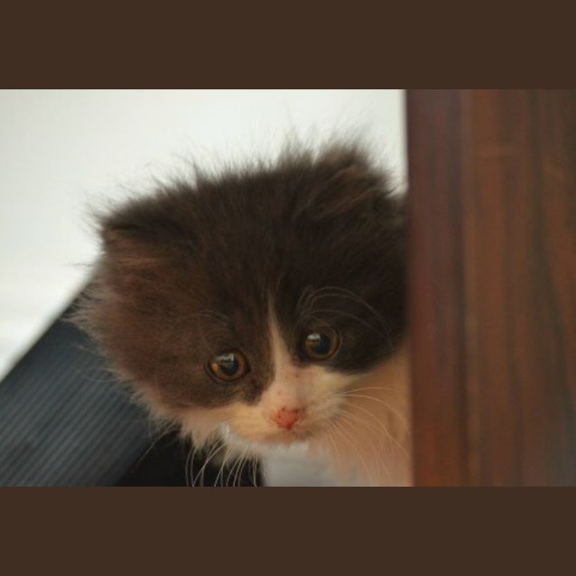 Photo of Theo