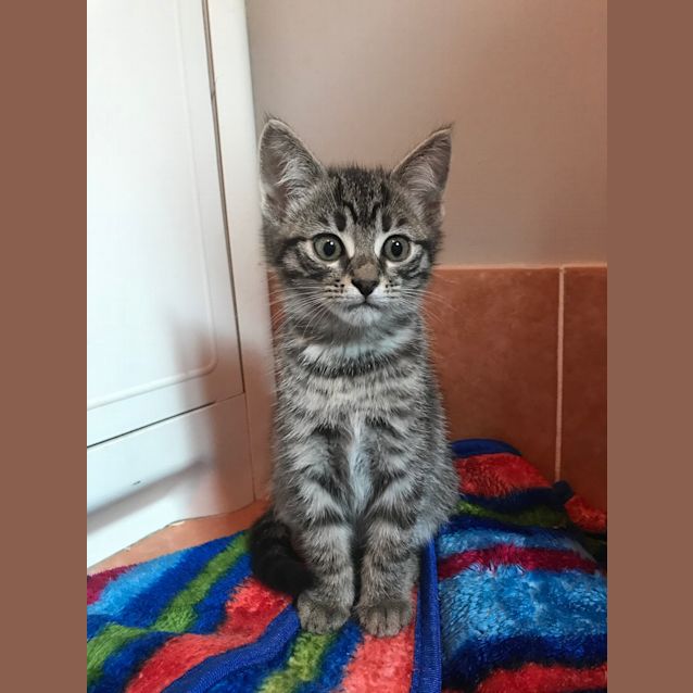 Photo of Spunky