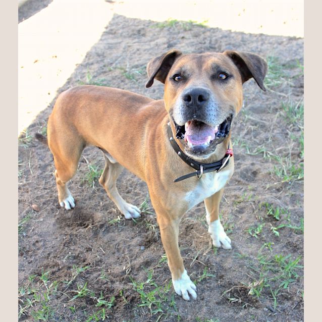 Photo of Tank