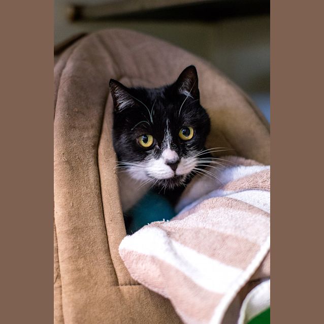 Photo of Missy