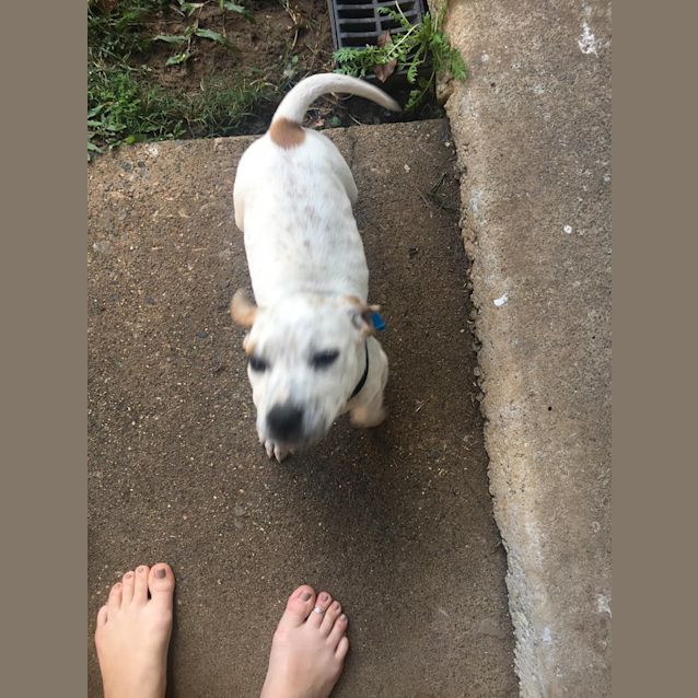Photo of Beau 