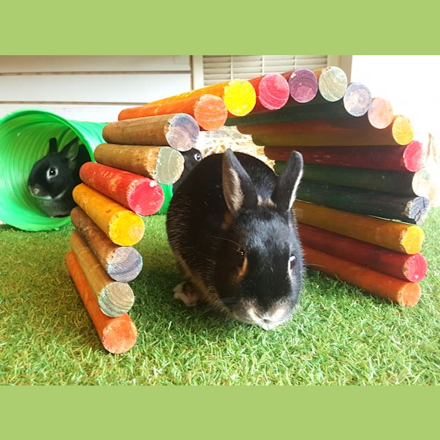 Photo of Kim, Kourtney & Khloe