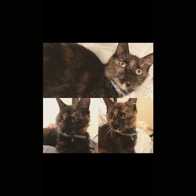 Photo of Olivia