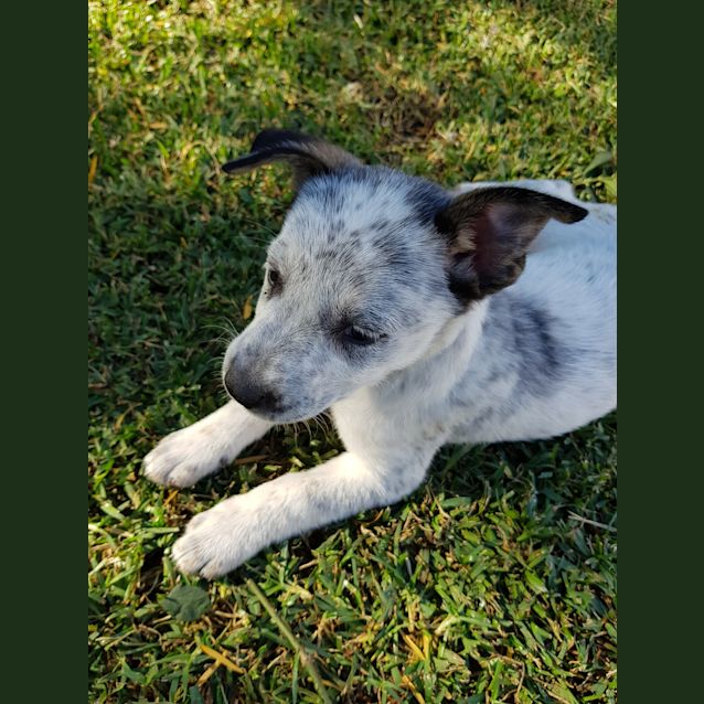 Photo of Lulu