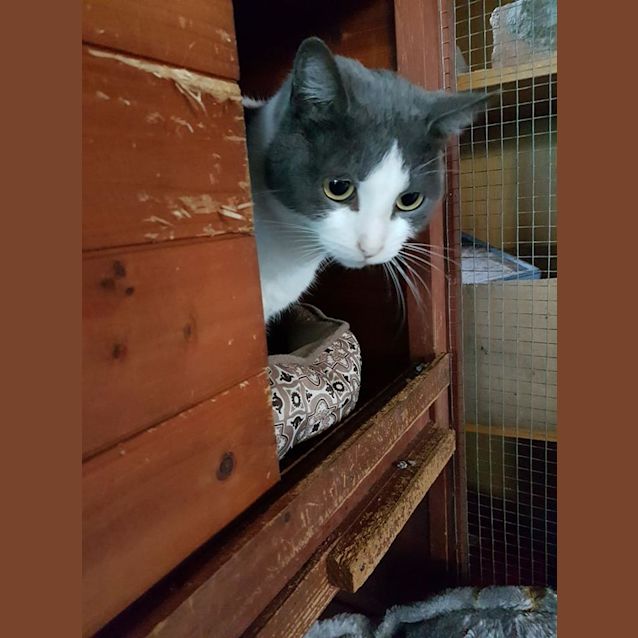 Photo of Tank 
