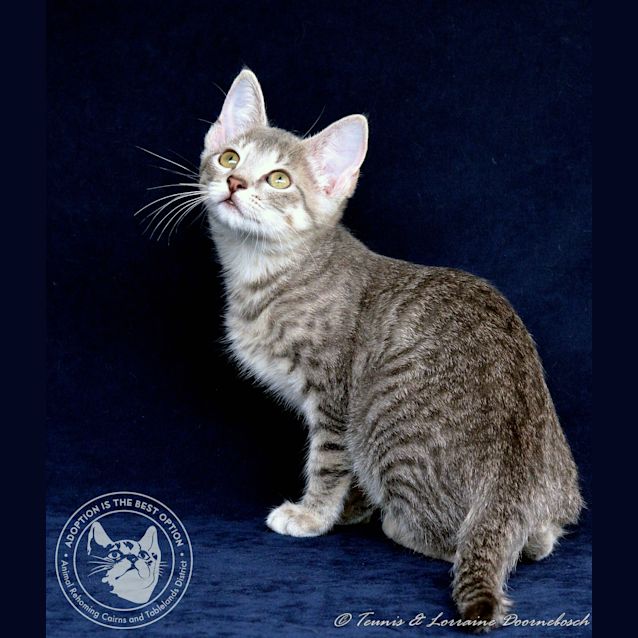 Photo of Qutie