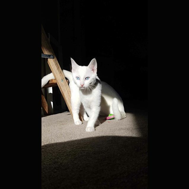 Photo of Jill And China The White Princesses