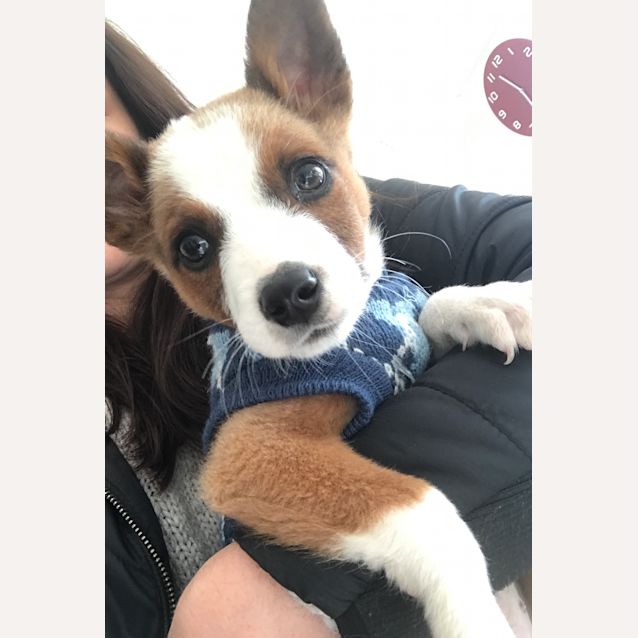 Photo of Little Billy