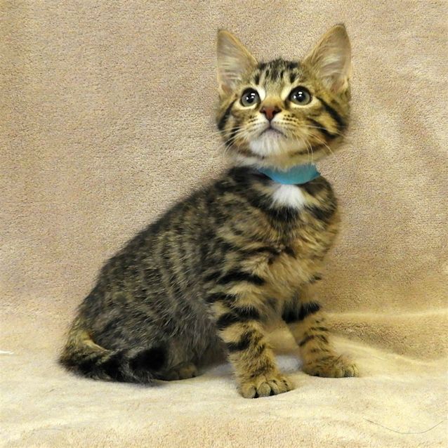 Photo of Reuben