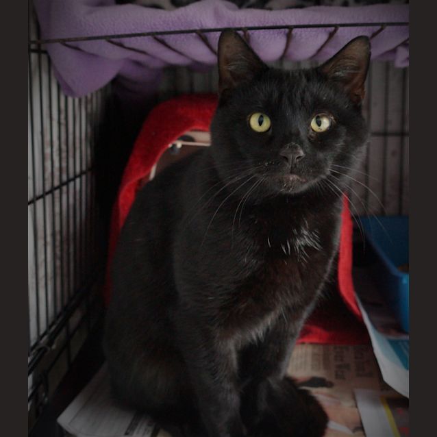 Photo of Tom