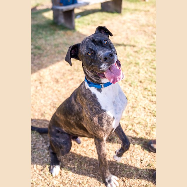 Photo of Buster