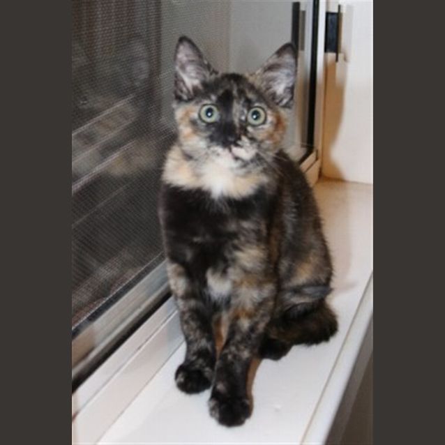 Photo of Peppy E1509