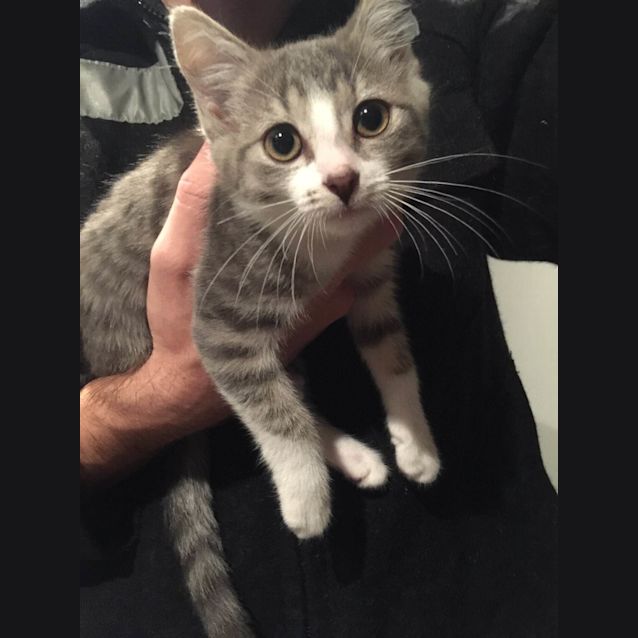 Photo of Sookie 