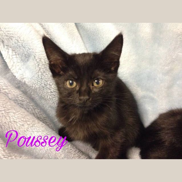 Photo of Poussey