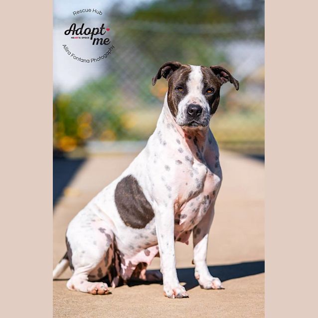 Photo of Sonsa (Pcc 293)