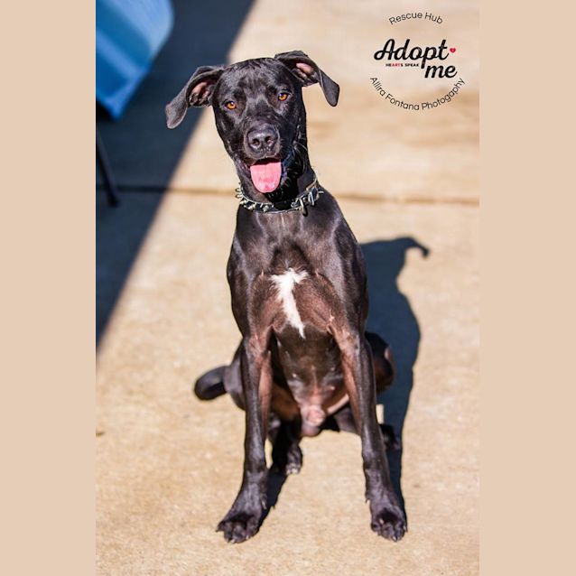 Photo of Junior (Hcc 167)