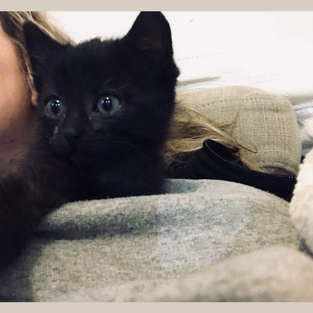 Photo of Kat 