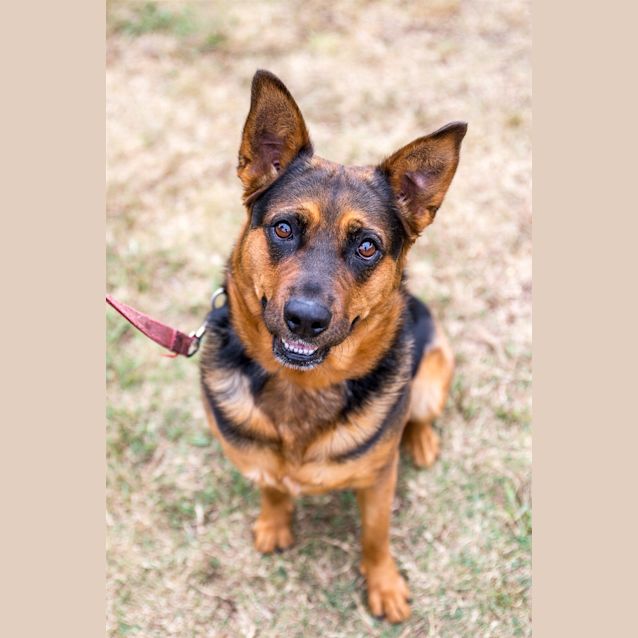 Photo of Lexi