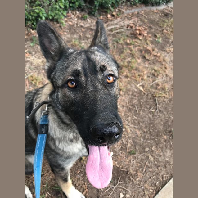 Photo of Lucy   Meet And Greet Organised