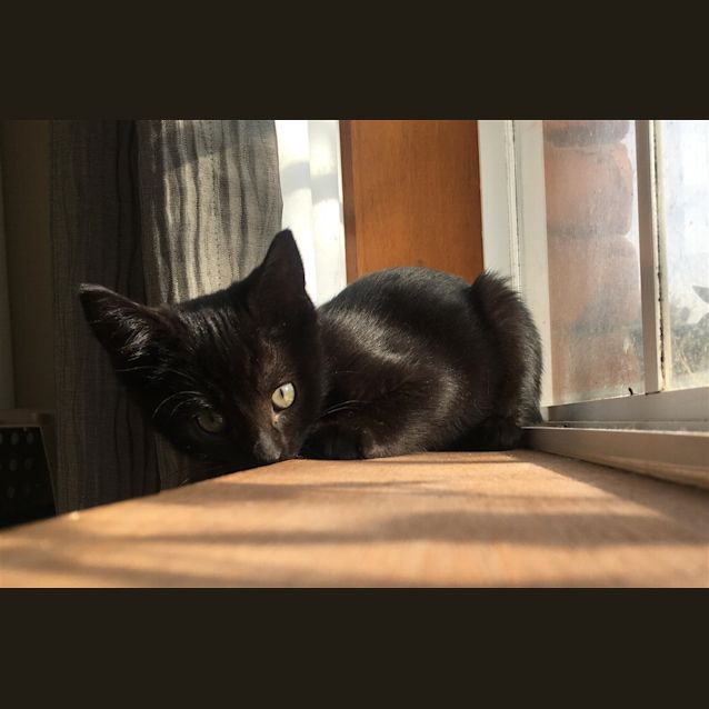 Photo of Nora