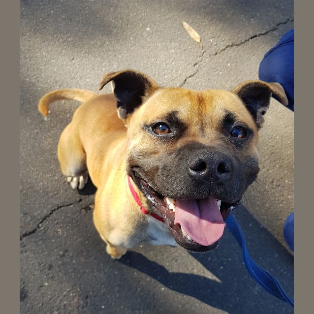 Photo of Buster