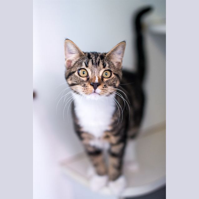 Photo of Bridget