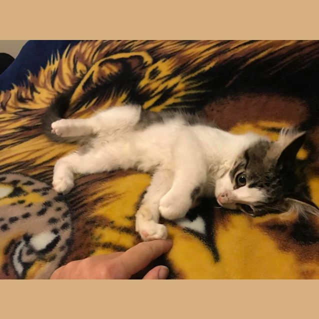 Photo of Owen 