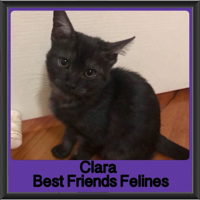 Photo of Clara 