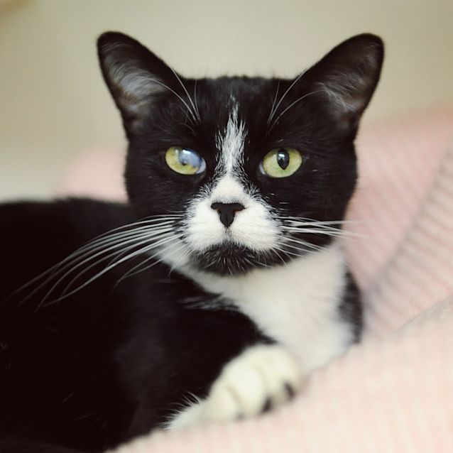 Photo of Minnie