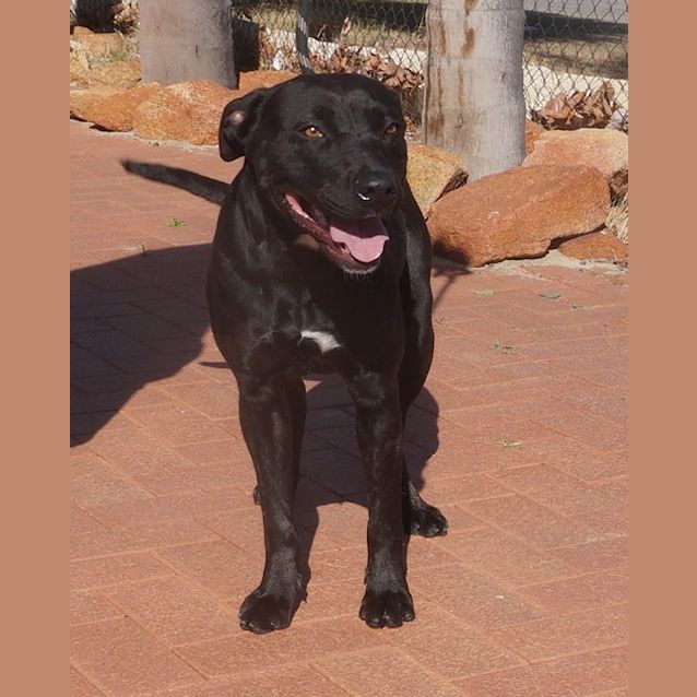 Photo of Olive