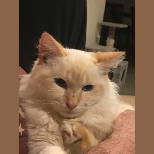 Photo of Bandit
