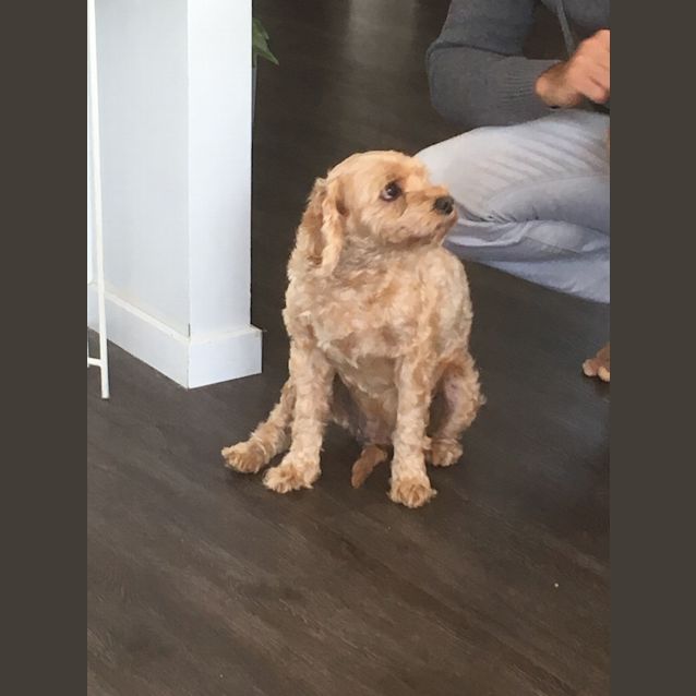 Photo of Sophie