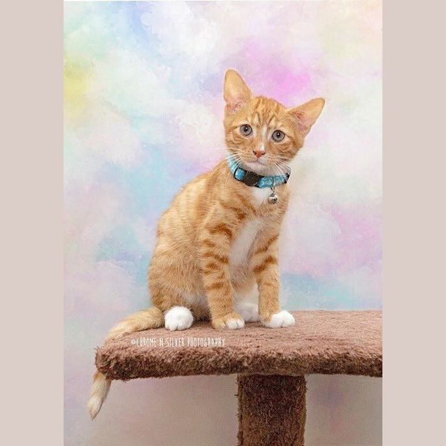 Photo of Monty