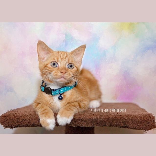 Photo of Dee