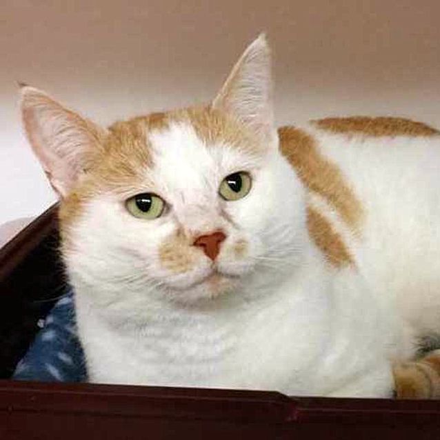 Photo of Percy