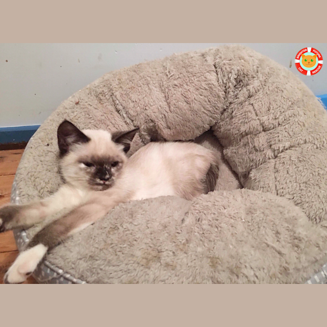 Photo of Niamh