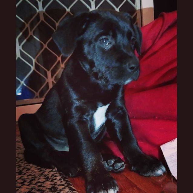 Photo of Mavis