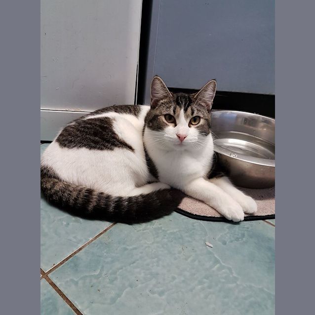 Photo of Maurice 
