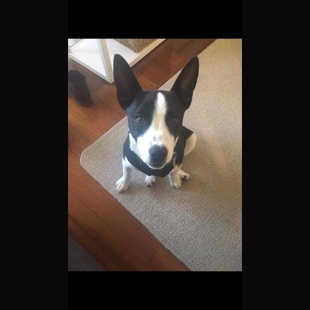 Photo of Marlo