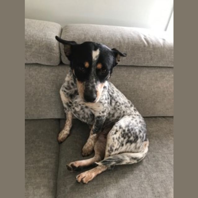 Photo of Lexy