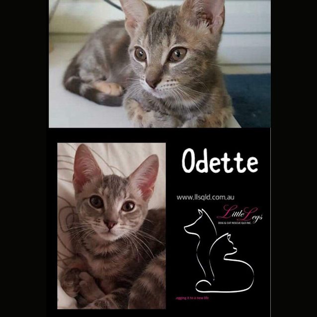 Photo of Odette