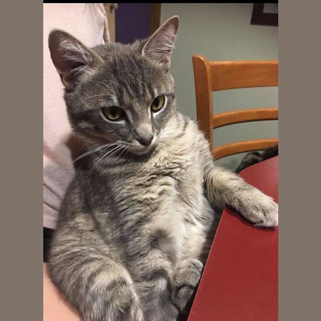 Photo of Grey Aka “G”