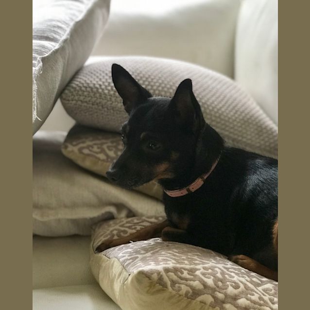 Photo of Ruby