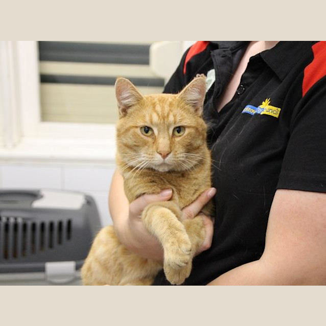 Photo of Pete (2223)